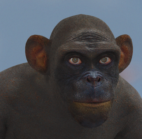 Duncan the Friendly Ape