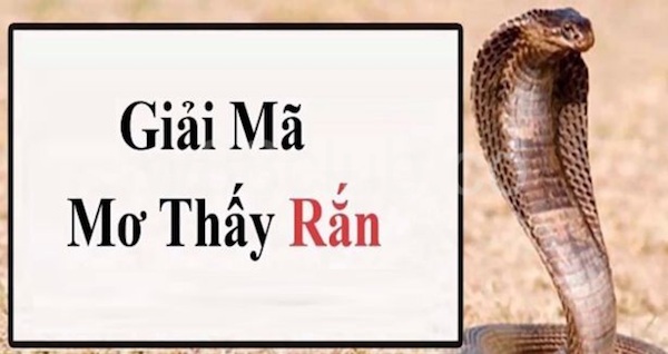 Mơ Thấy 2 Con Rắn Hổ Mang: Giải Mã Giấc Mơ