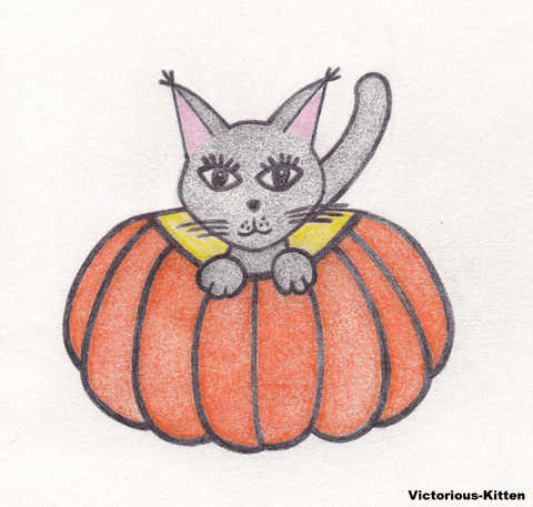 Pumpkin Cat!