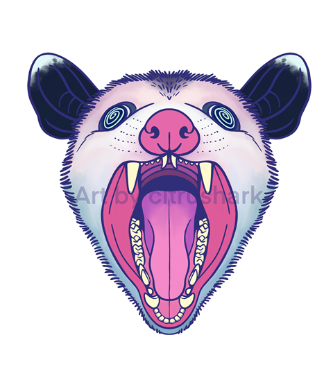 Screaming Opossum