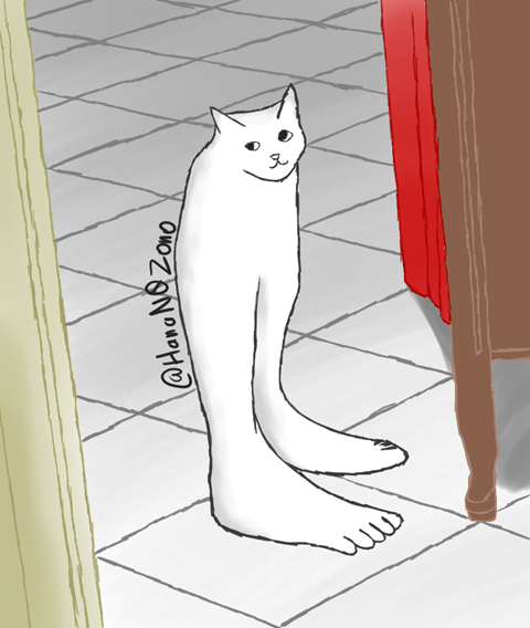 Sexy Legs Cat, Probably