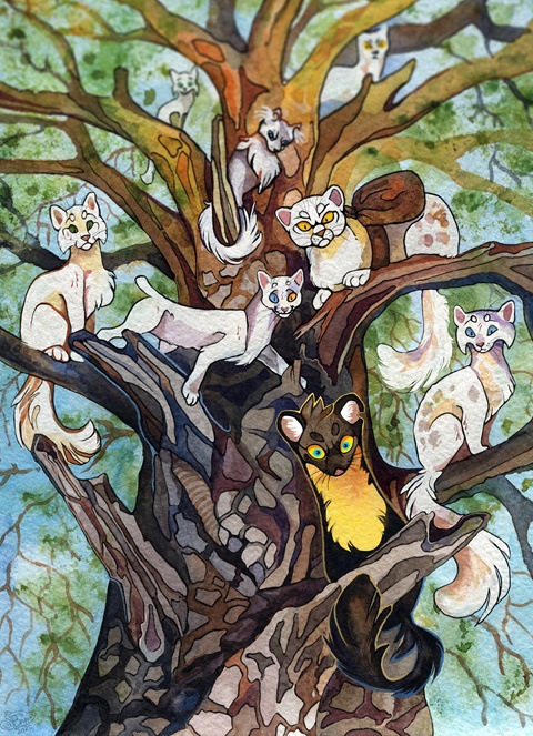 Seven white cats and one marten