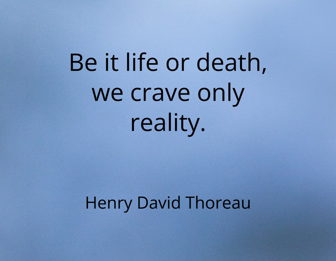 Crave Only Reality