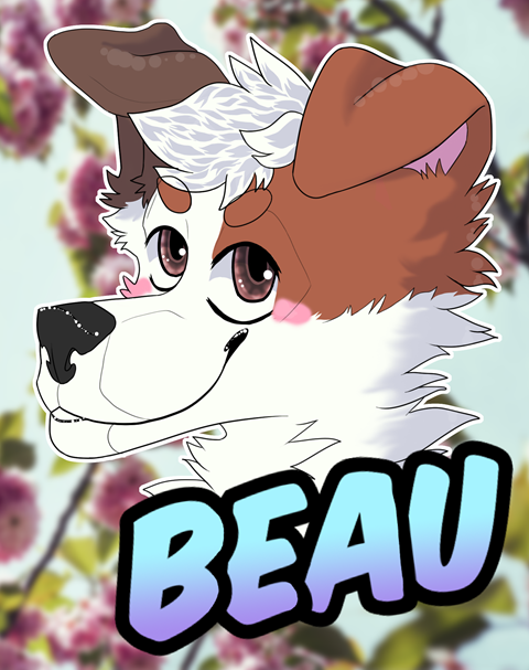[$] Beau