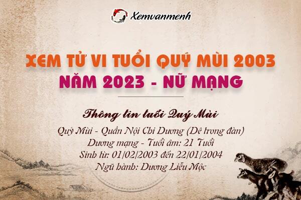 Tử Vi Tuổi Quý Mùi 2003 Nữ Mạng Năm 2024