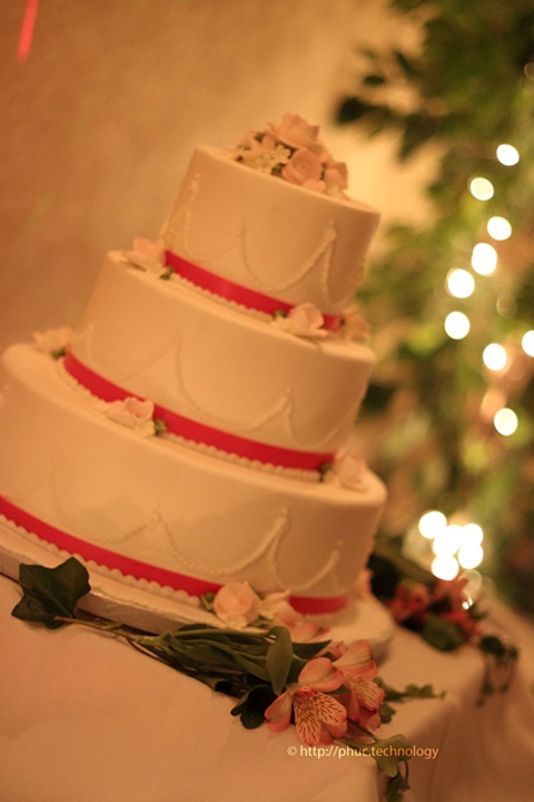 Wedding Cake in Front of twinkle lights