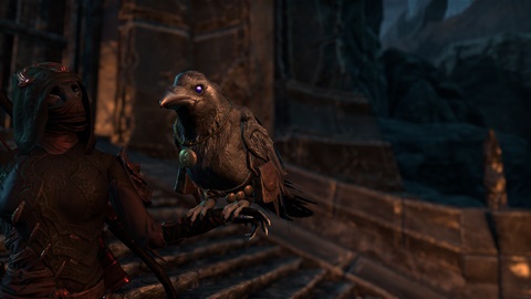 ESO: I have a crow!