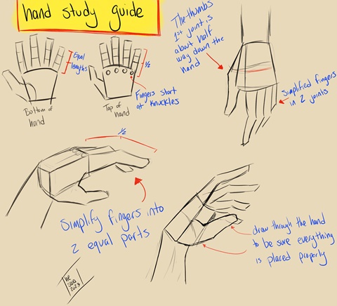 Hand study guide 