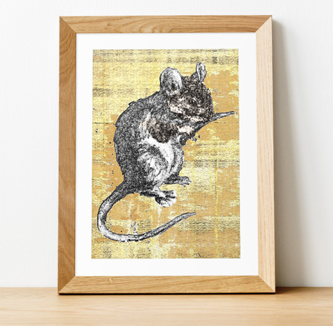 House Mouse - Signed Fine Art Print - inkart