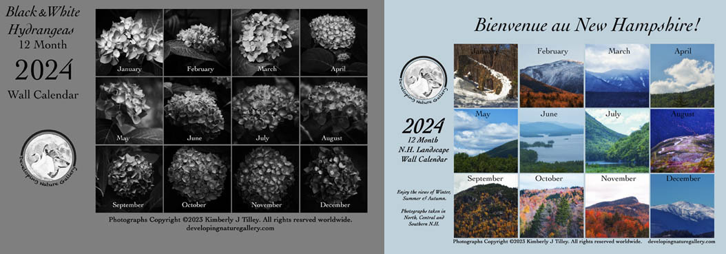 2024 Wall Calendars Available Now!