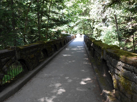 Mossy Bridge Washington State