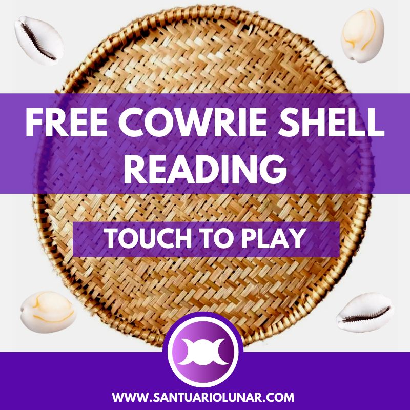 Cowrie Shell spiritual meaning + Free readings