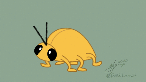 Little Dancy Bug