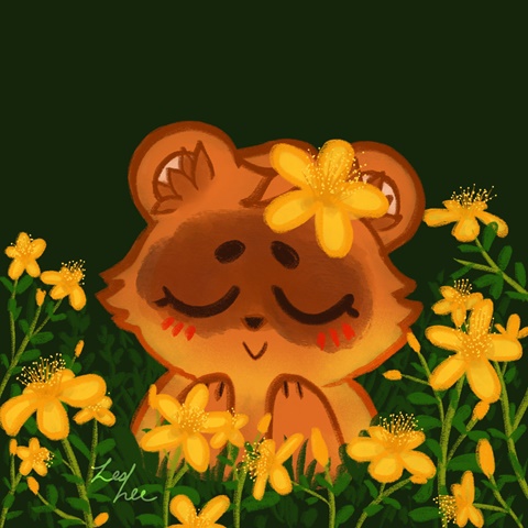 A Tanuki in a field of golden Flowers