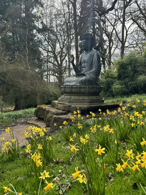 Spring at Batsford Arboretum 