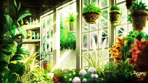 Kokiri's Greenhouse