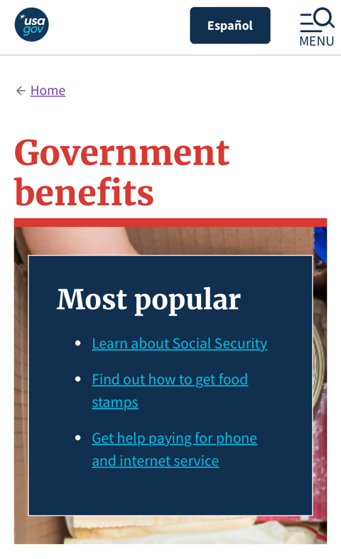 GOVERNMENT BENEFITS FOR AMERICANS 
