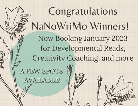 Congratulations NaNoWriMo 2022 Winners! 