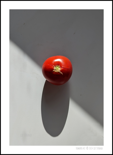 Tomato #2