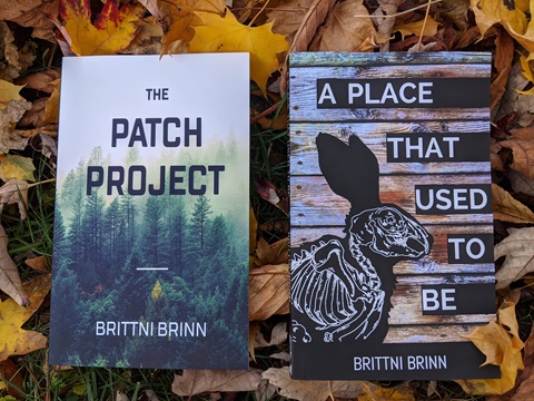 The Patch Project Books