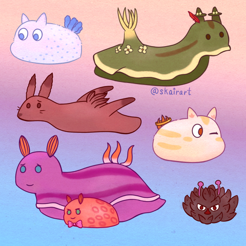 Moomin Sea slugs