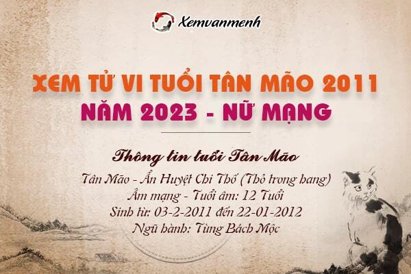 Tử Vi Tuổi Tân Mão 2011 Nữ Mạng Năm 2024