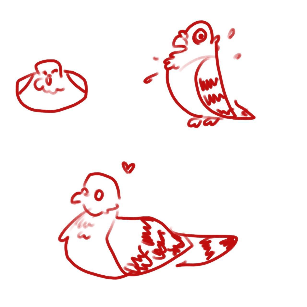 Pigeons Doodles