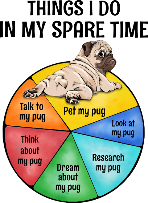 Thing I do In my spare time with my Pug Dog