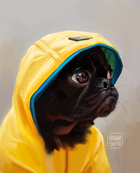 Dog in Yellow