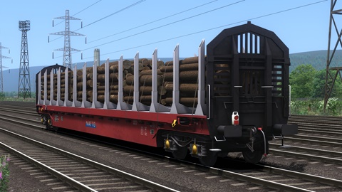 Timber Carrier - Medium Load
