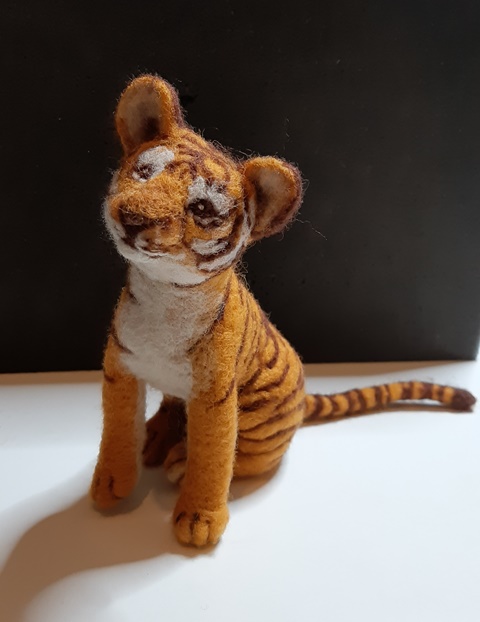 'Hoshi' Tiger