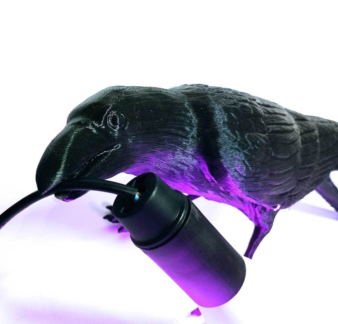 Raven Lamp