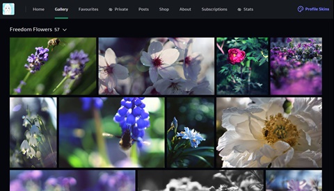 Brief overview of my Freedom Flowers gallery