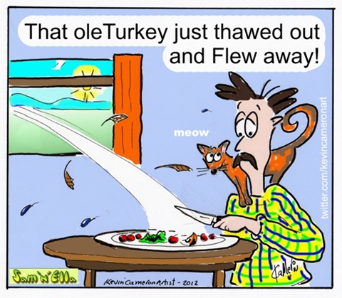 Turkey day!