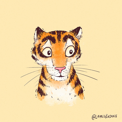 Tuesday Tiger