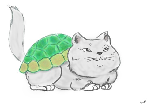 Turtle Cat
