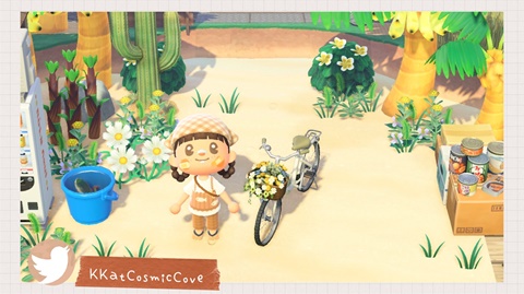 Flower Cruiser Bike