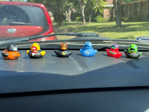 Rubber Ducks available for purchase