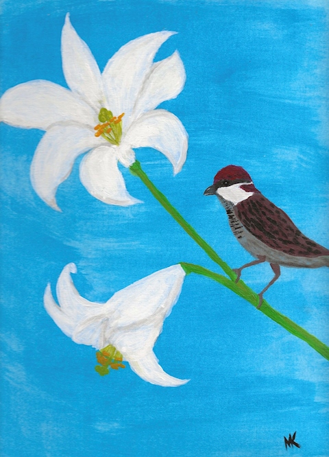 On Lilies and Sparrows