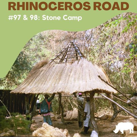 Rhinoceros Road #97 & 98: Stone Town