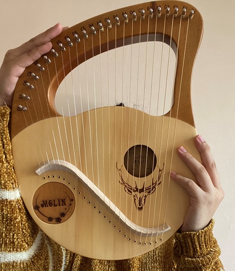 24-string Molin Lyre Harp