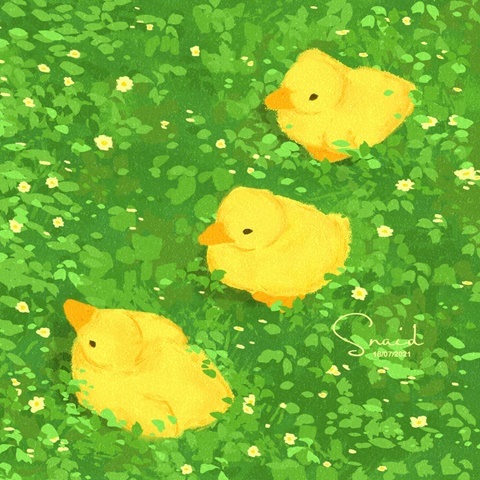 Pretty ducks in spring 🌿✨