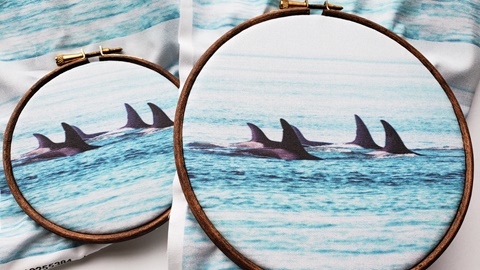 Orca Pod - Embroidery Fabric Prints