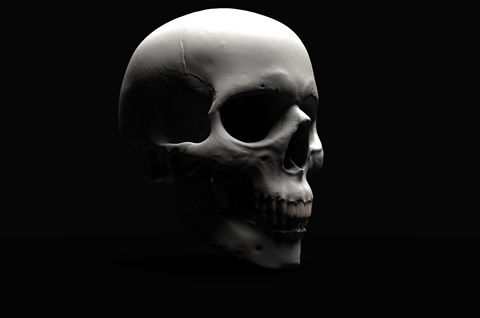 Skull Render 2