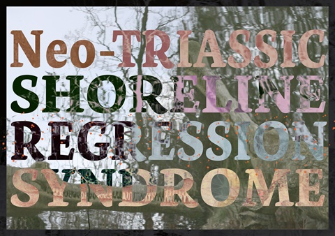 Neo-Triassic Shoreline Regression Syndrome Flyer