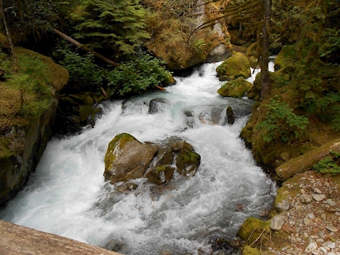 Waterfall Washington State