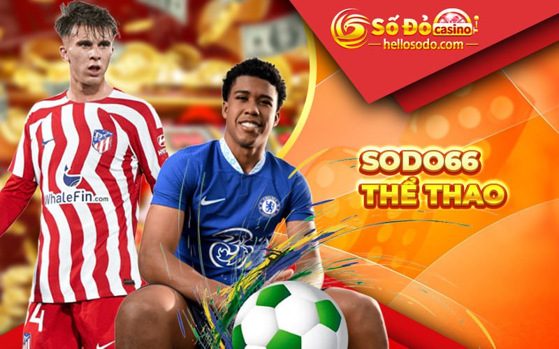 ⚽️ Thể Thao Sodo66 - Cá Cược Thể Thao Hấp Dẫn ⚽️