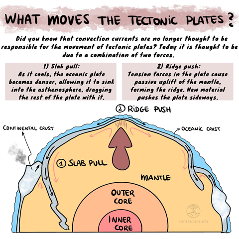 What moves the tectonic plates?