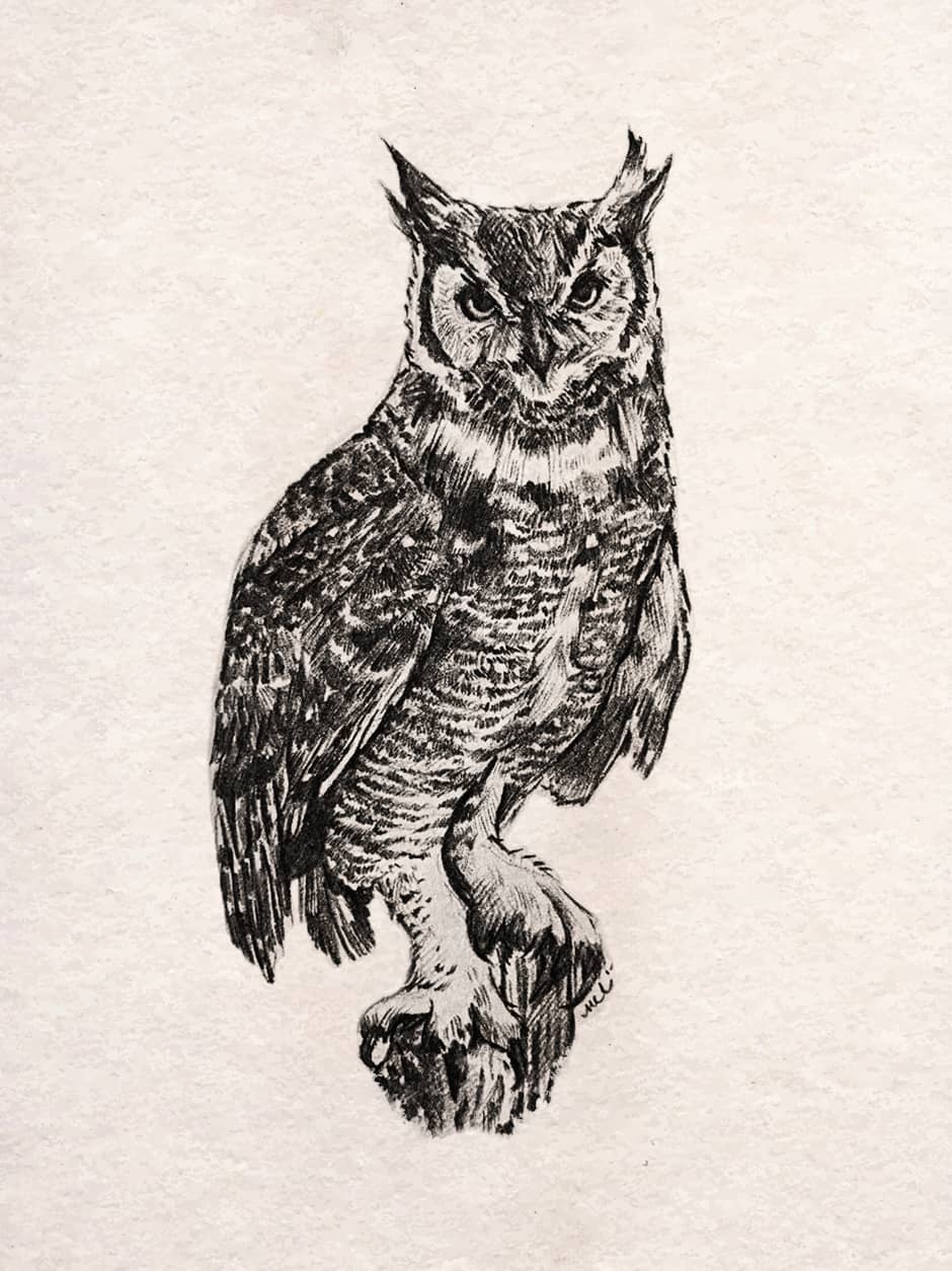 Owl in Graphite