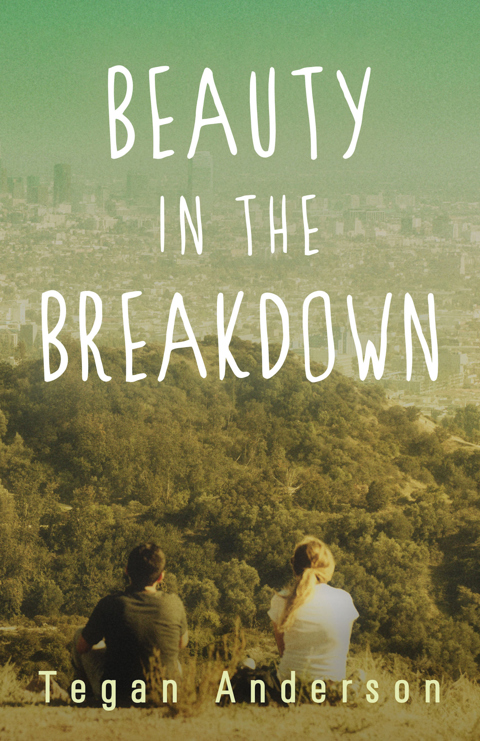 Beauty in the Breakdown (2017)